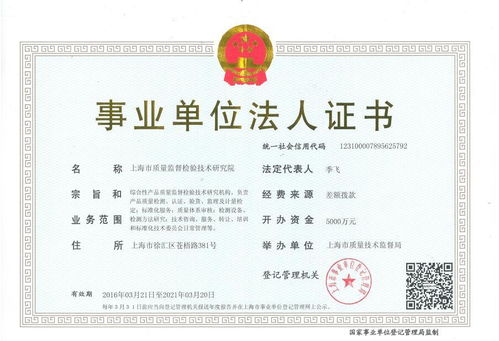 營(yíng)業(yè)執(zhí)照中的技術(shù)開發(fā) 入門指南與核心考量