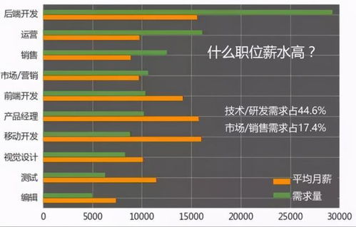 信息技術(shù)浪潮下的職業(yè)選擇 解析計(jì)算機(jī)專業(yè)的獨(dú)特優(yōu)勢與技術(shù)開發(fā)前景